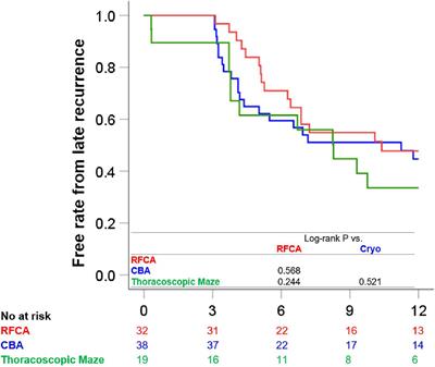 Catheter ablation and thoracoscopic ablation in long persistent atrial fibrillation with large left atrium